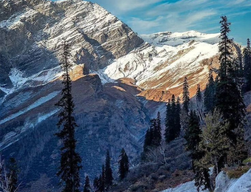 Top 5 Hill Stations in India for Summer 2025